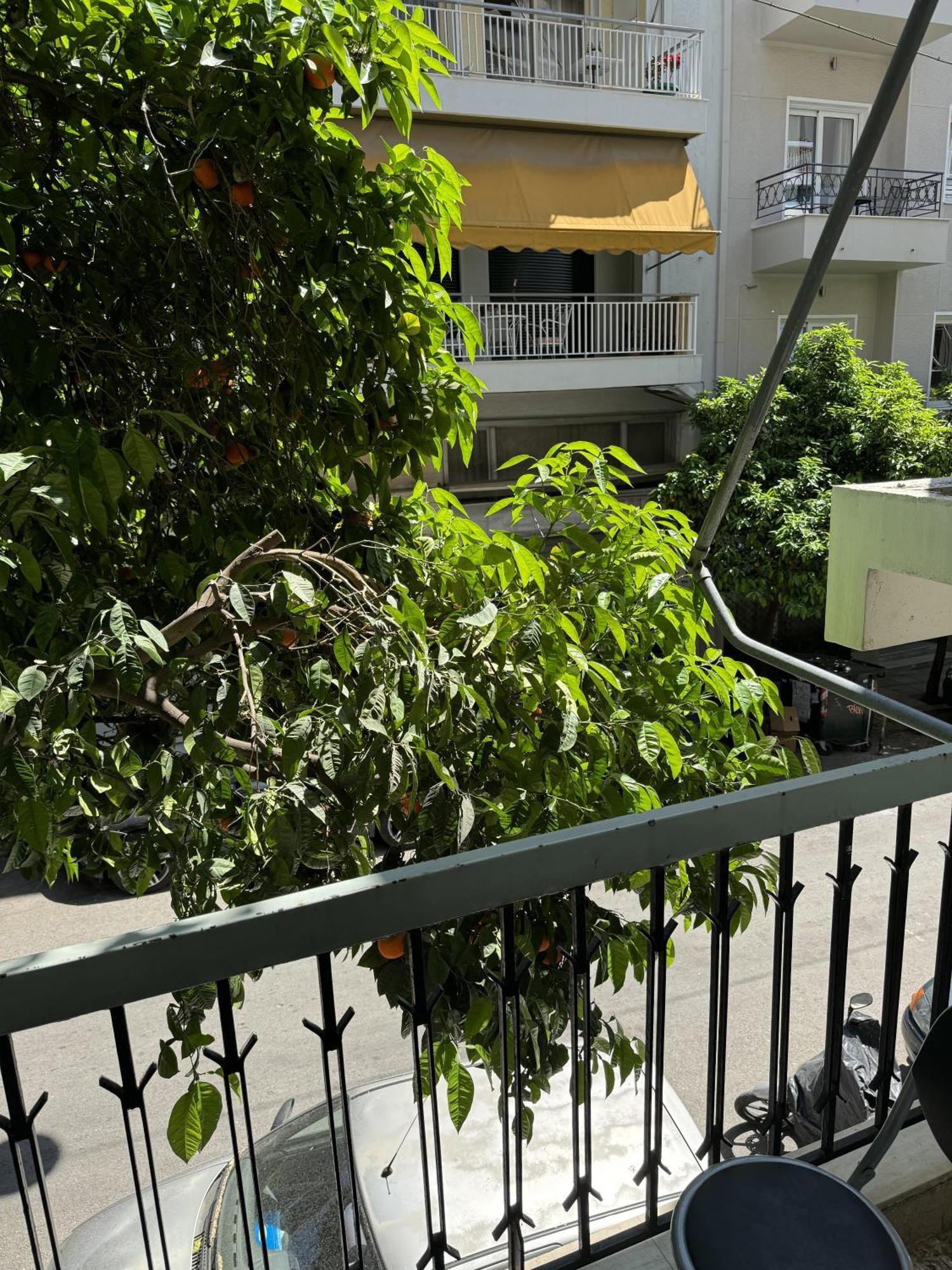 Cozy Apt Next To Acropolis Athens Exterior photo